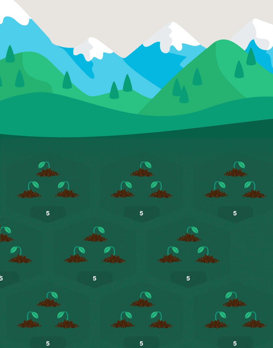 sozo-forest sozo-forest